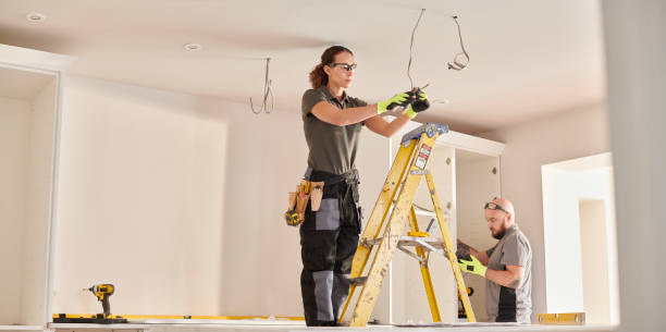 Best Industrial Electrical Services  in Fenton, MI