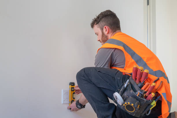 Best Home Electrical Repair  in Fenton, MI