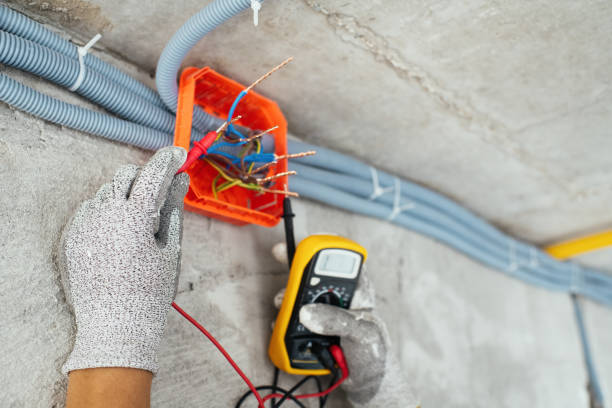 Best Electric Panel Repair  in Fenton, MI