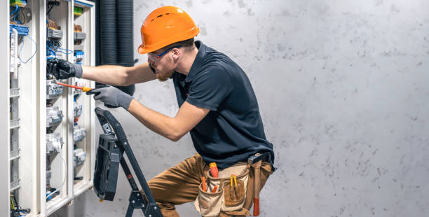 Best Residential Electrician Services  in Fenton, MI