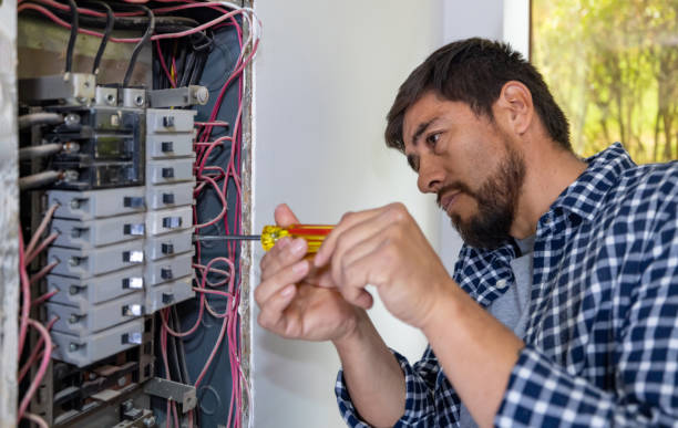 Best Electrical Repair Services  in Fenton, MI